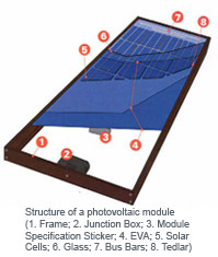 Data/Images/figure_4_s_no1.jpg